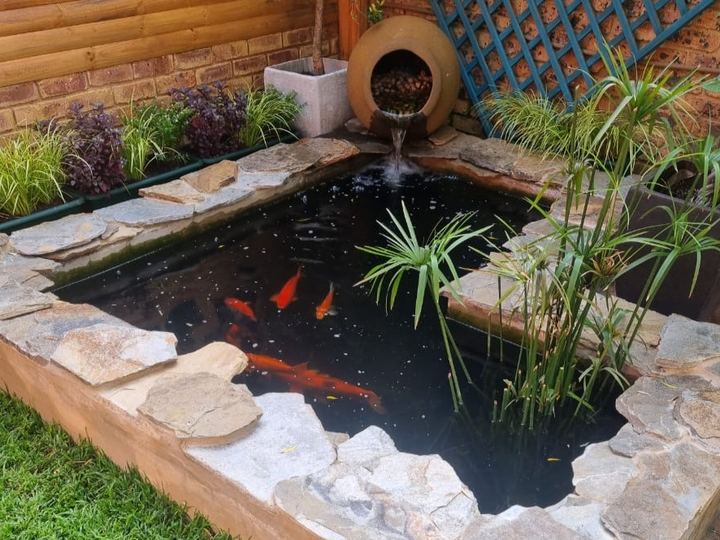 Koi pond, project 6