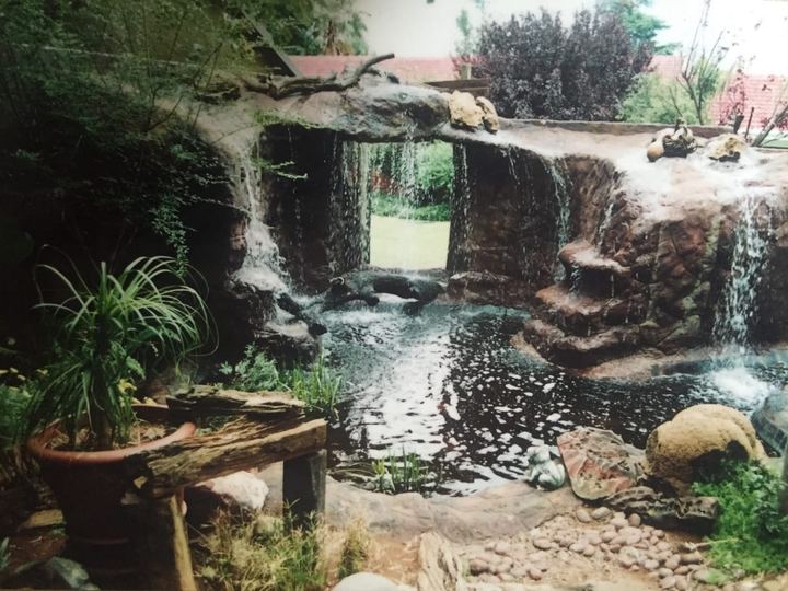 Koi pond, project 1
