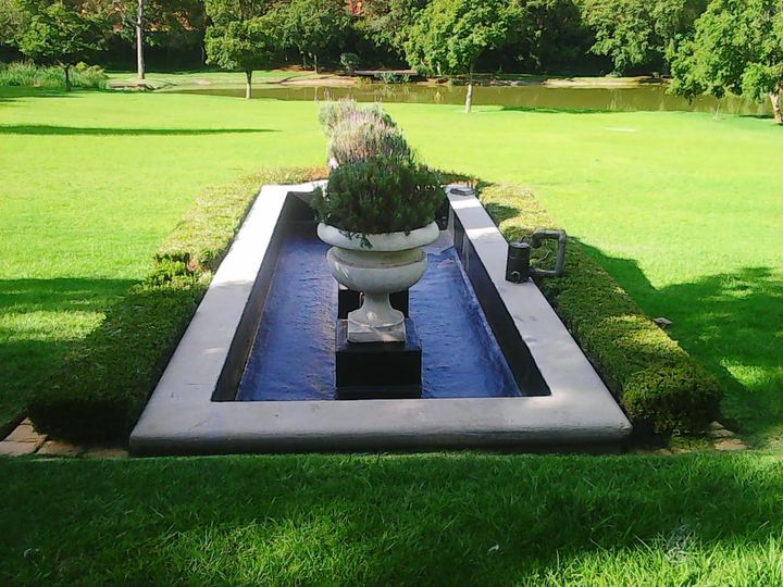 Koi pond, project 4